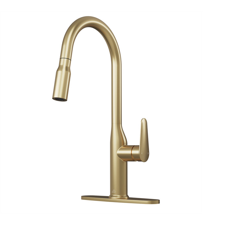 CASAINC Single-Handle Pull-Down Kitchen Faucet Single Hole Faucet