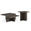 Ensemble de table basse et de table d'appoint 2 pièces Zeny, base géométrique, brun foncé