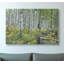 «Aspen Grove Rail Fence», art mural sur toile-25769401
