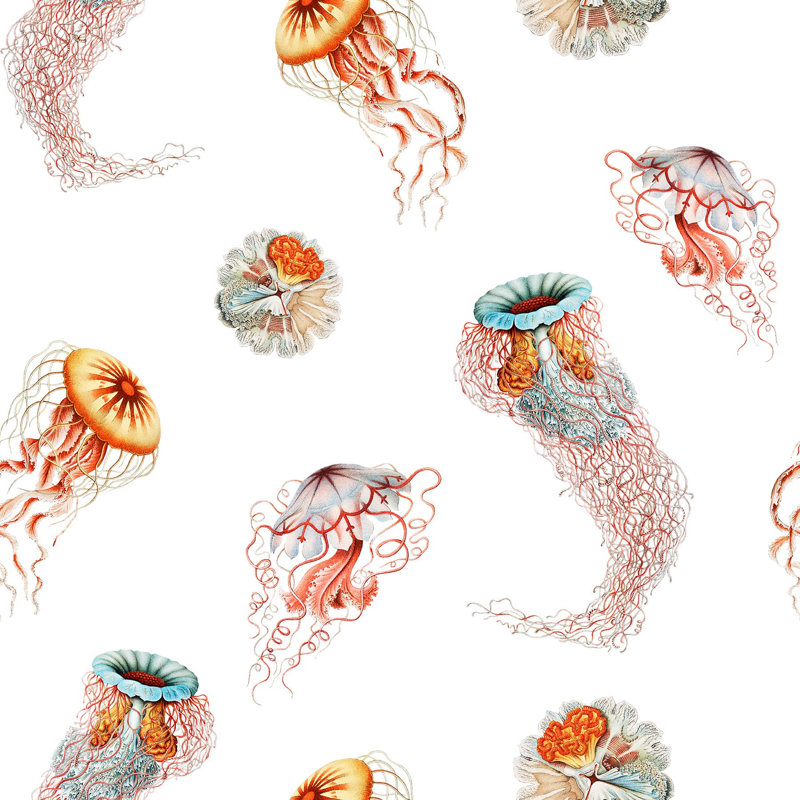 Medusa, Snow, Non-Woven