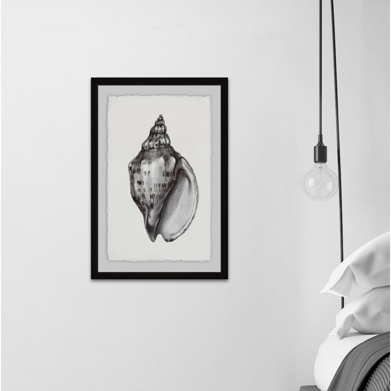 «Elegant Look Shell» par Alexandros, reproduction encadrée, H 12 po x l 8 po x P 1,5 po