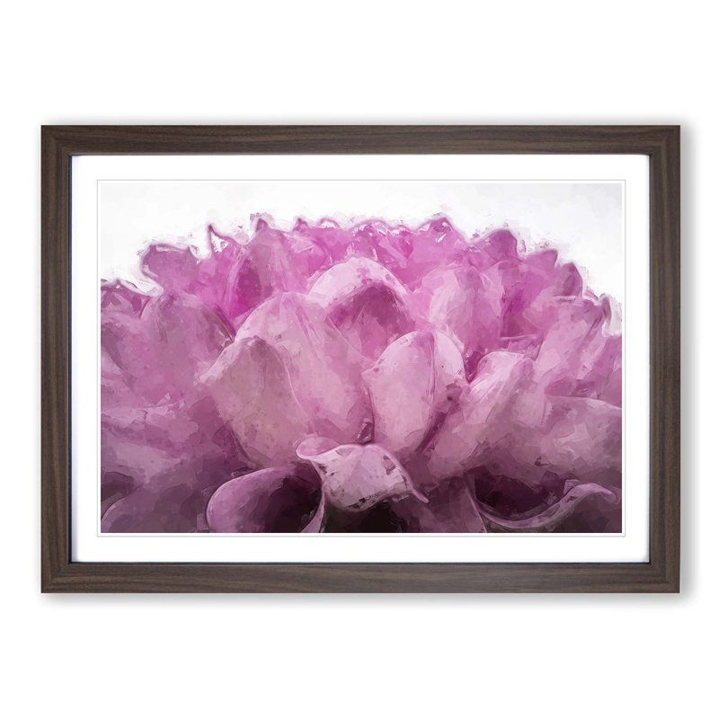 Pink Petals of a Chrysanthemum - Framed Print, Walnut, 60cm H x 91cm W x 2cm D
