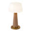 Clemence 11-in Red dimmable LED Table Lamp-110901801