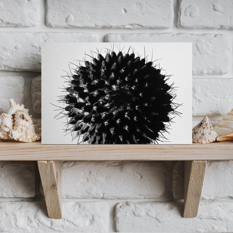 Art mural blanc contemporain, H 12 po x l 18 po