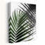 Vibrant Green Palm Leaf Abstract Contemporary Minimalist Palm Nature Plant Wall Art Print 1 Piece Wrapped Canvas Wall Art-1537767301