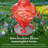 Glass Freestanding Hummingbird Feeder