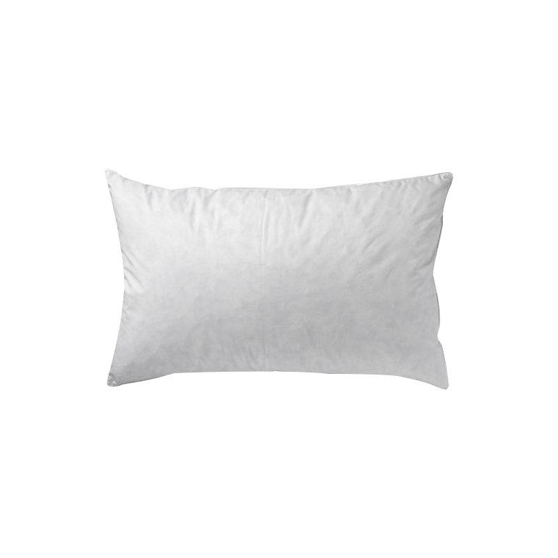 Luxury Goose Feather And Down Pillow Pair
