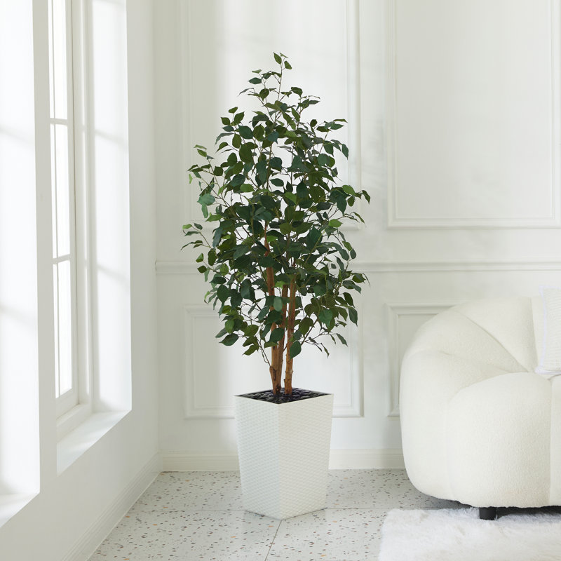 Adcock UV Protected Artificial Ficus Tree with Decorative Base, Faux Ficus Plant with Natural Trunk, White