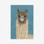 Llama Specs IV by Victoria Borges - Painting-574702432-574702433