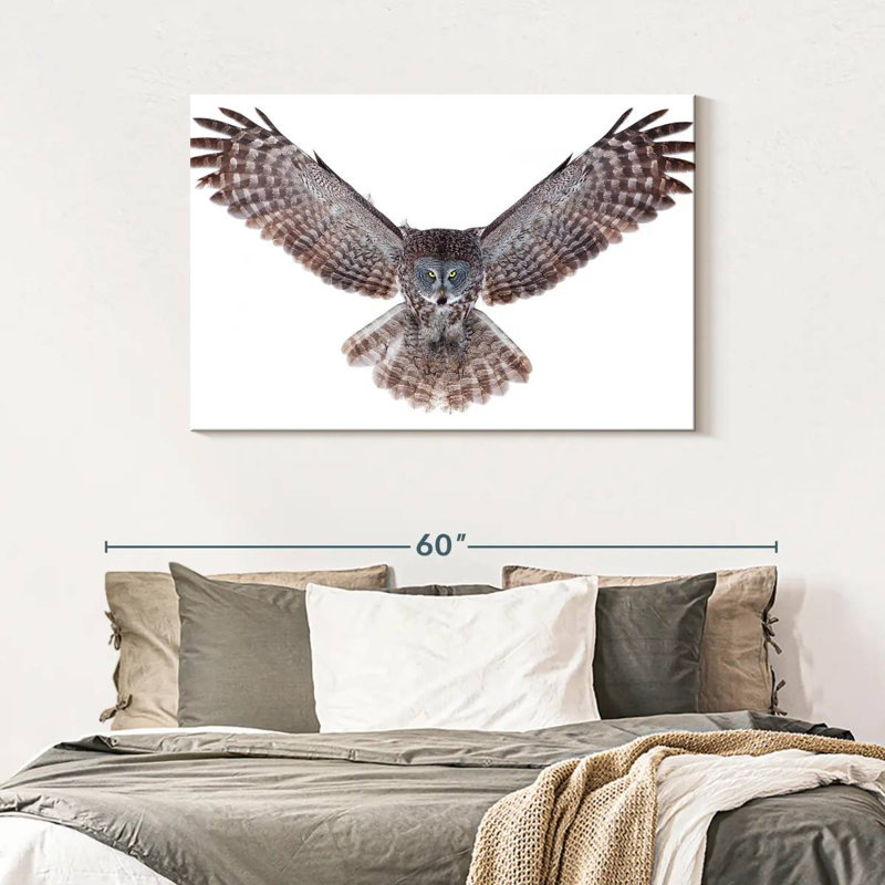 Owl Power, H 30 po x l 45 po