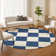 Machine Washable Indoor/Outdoor Buster ACN2345 Geometric Rug