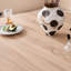 Round Dining Table-567279583