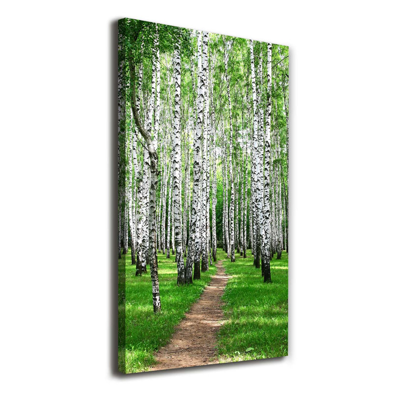 Birch Forest - Wrapped Canvas Print