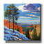  «Take The Long View» par John Jaster, art mural sur toile, 26 po x 26 po-911207847