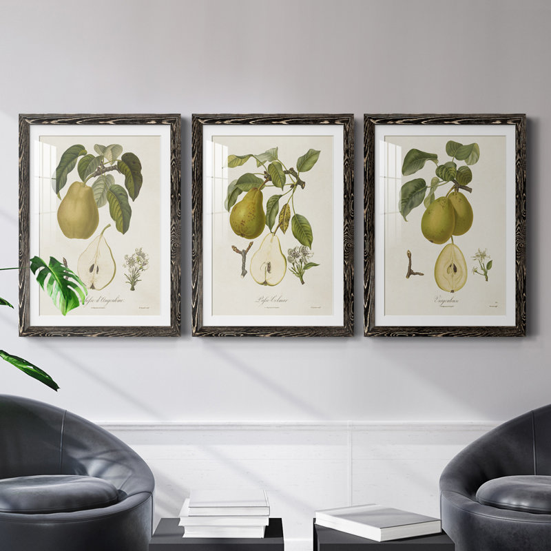 " Pears I " 3 - Pieces Painting Print, Black Framed, 20" H x 17" W x 1" D