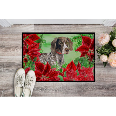 Non-Slip Outdoor Doormat