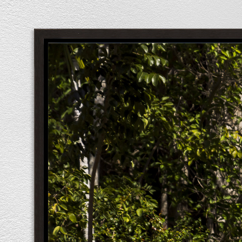 Eden's Door Print by Adam Mowery, Image Brush Gel
