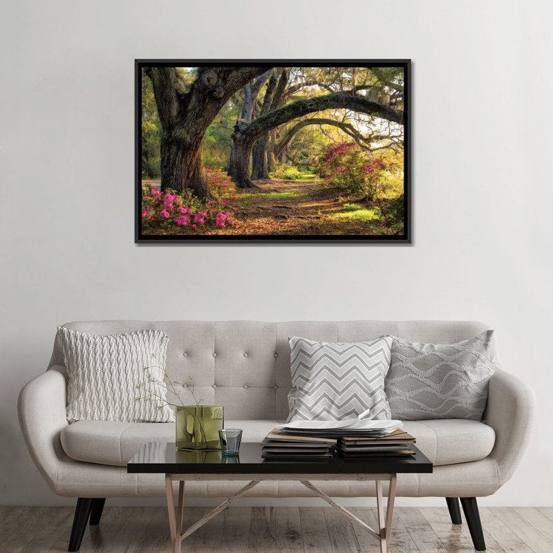 «Under the Live Oaks I» par Danny Head - reproduction de photo sur toile, H 40 po x l 60 po x P 1,5 po, Pas de tapis