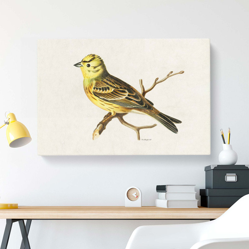 Male Yellowhammer Bird by Von Wright - Wrapped Canvas, 35cm H x 50cm W x 3cm D