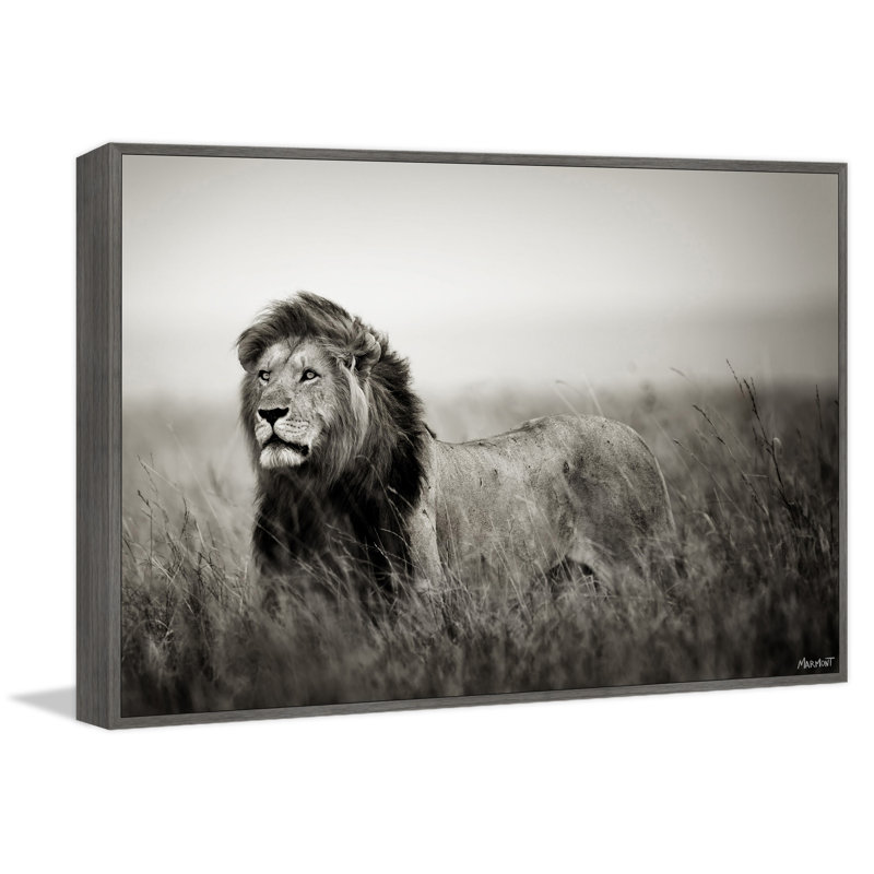 Be The Boss by Marmont Hill - Painting, Canvas, 30cm H x 45cm W