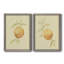 Toile encadrée de qualité supérieure «Dappled Oranges III» - prête à être accrochée-628419989-628419988