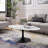 Lippa 48" Oval Coffee Table-1250614864
