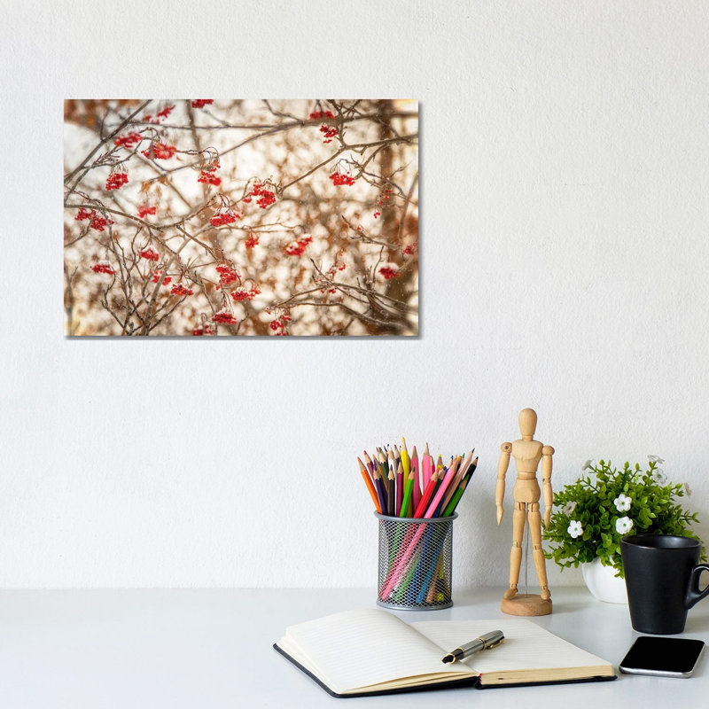 Rowan At The Winter by Nik Rave - Wrapped Canvas Gallery-Wrapped Canvas Giclée, 20.32cm H x 30.48cm W