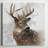 Winter Wonderland Deer - Wrapped Canvas Print-271540947