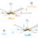 6-Blade Reversible LED Ceiling Fan with Light Kit and Remote Control