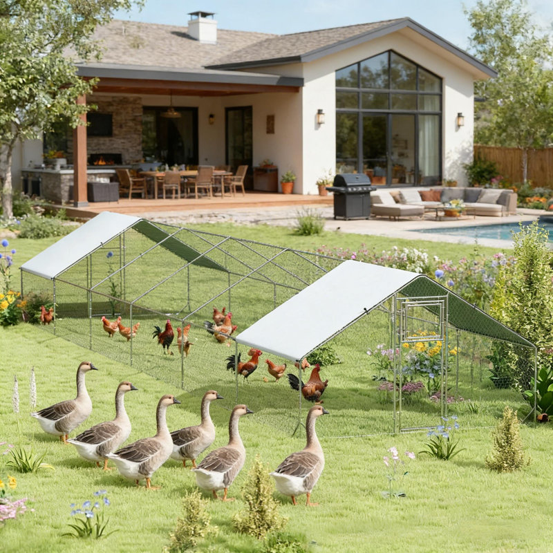 Grande maison pour animaux de compagnie, poulailler, poulailler extérieur, maison pour canards