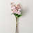 Rose est en rupture de stock