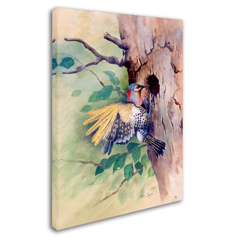 «Woodpecker» de Dugazon, reproduction sur toile tendue, H 19 po x l 14 po