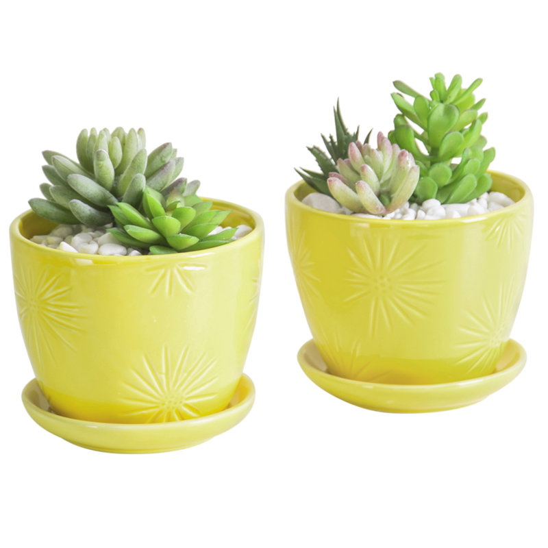 Magdaleno Ceramic Pot Planter