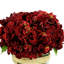 Arrangement floral Sarina Hydrangea dans un vase en verre avec mousse-1100045209
