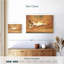 Kelan Symphony-108928848