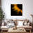 Sunflower Petals Canvas Print-1640660792