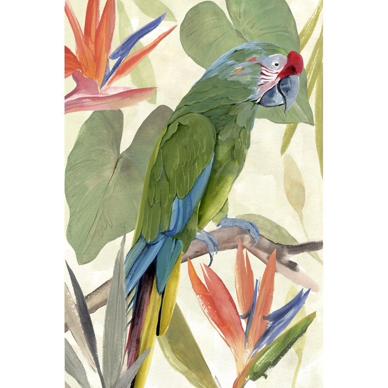 Tropical Parrot Composition I - Painting, 46 cm H x 30 cm W, Black Floater Framed