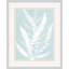 Delicate Fern Assimilation 3 Print
