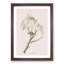 Chipping Sparrow Bird by John Audubon - Picture Frame Painting Print-55545974-55545972