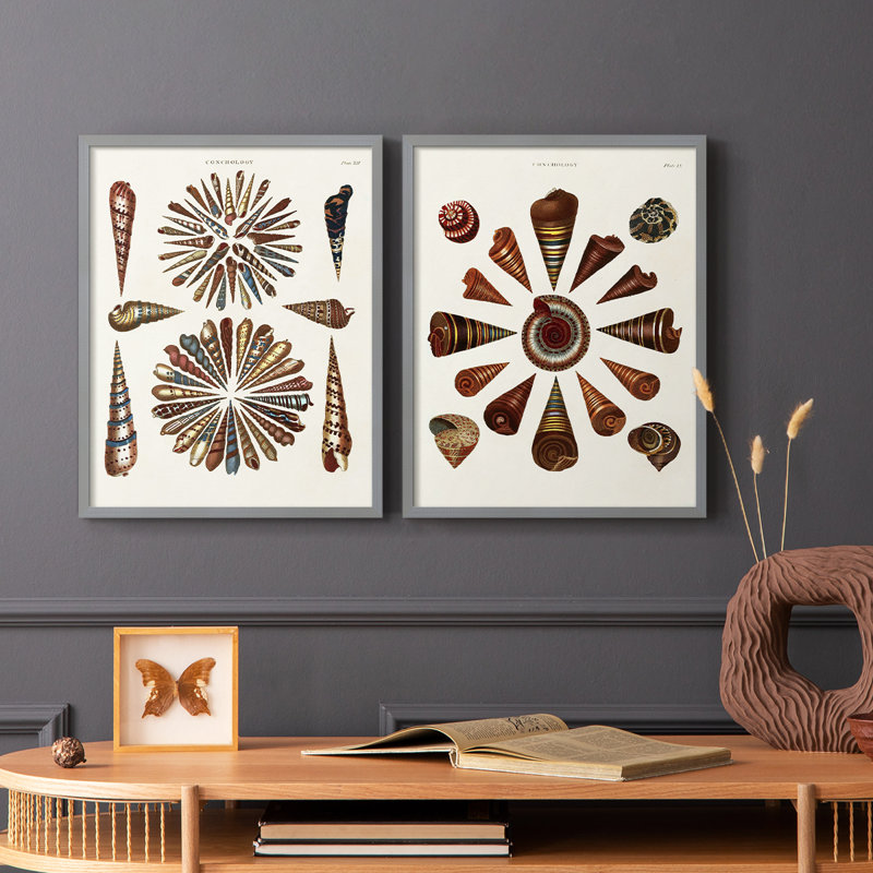 Spiral Shell Formation III - reproduction encadrée de qualité supérieure - prête à être accrochée - aucun clou requis - aucun clou requis