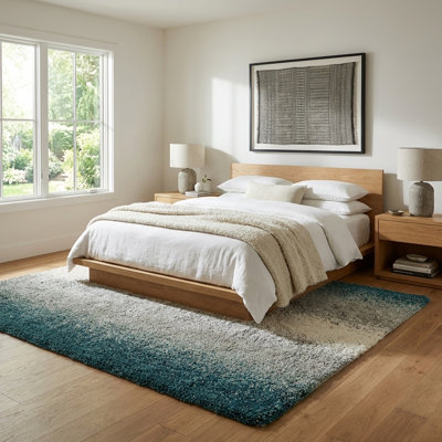  Cloud Soft Touch Shag Rug