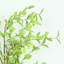 Branche d'eucalyptus artificiel 36 "pour remplisseur de vase, branche de feuillage de brindille de campagne brume un long bouquet en vrac pour les décorations de table de centre de table de bureau à domicile