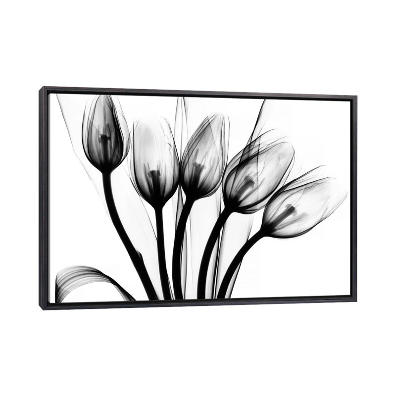 «Marching Tulips» par Albert Koetsier - impression d'art graphique, Toile avec cadre noir patiné, H 26 po x l 40 po x 1,5 po