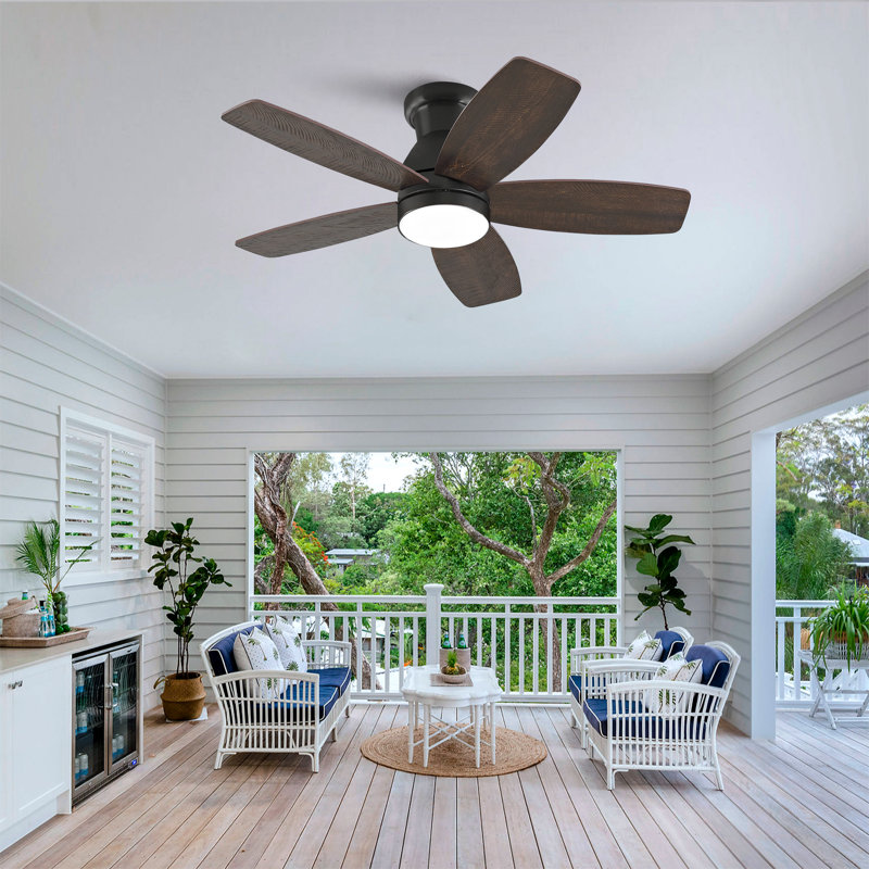 Ventilateur de plafond à profil bas avec lumière et télécommande, moteur à courant continu silencieux à intensité variable, pour l'intérieur et l'extérieur de la chambre à coucher, noir
