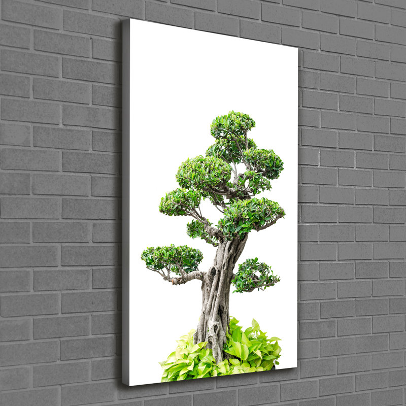 Bonsai Tree - Wrapped Canvas Print