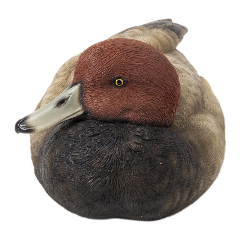 TÊTE DE À TÊTE ROUGE MALLARD