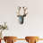 Decorative Wall Accessory