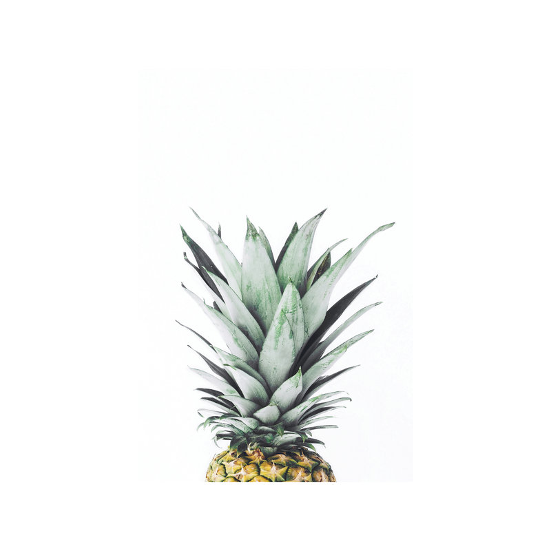 Pineapple - Wrapped Canvas Print, 66.04 cm H x 45.72 cm W x 1.91 cm D