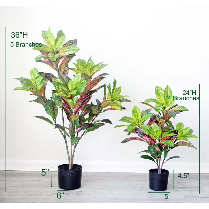 Real touch Artificial Croton Tree in Pot, 24" H x 22" W x 22" D