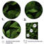 «Herbs Peppermint Breeze 2», art floral herbes murales-941022686-941022693